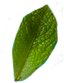 leaf1.png