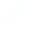 palm left.png