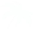 palm right.png